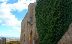 Castillo - Grisel